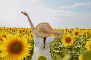 woman with pigtails walks through a field of sunflowers landscape